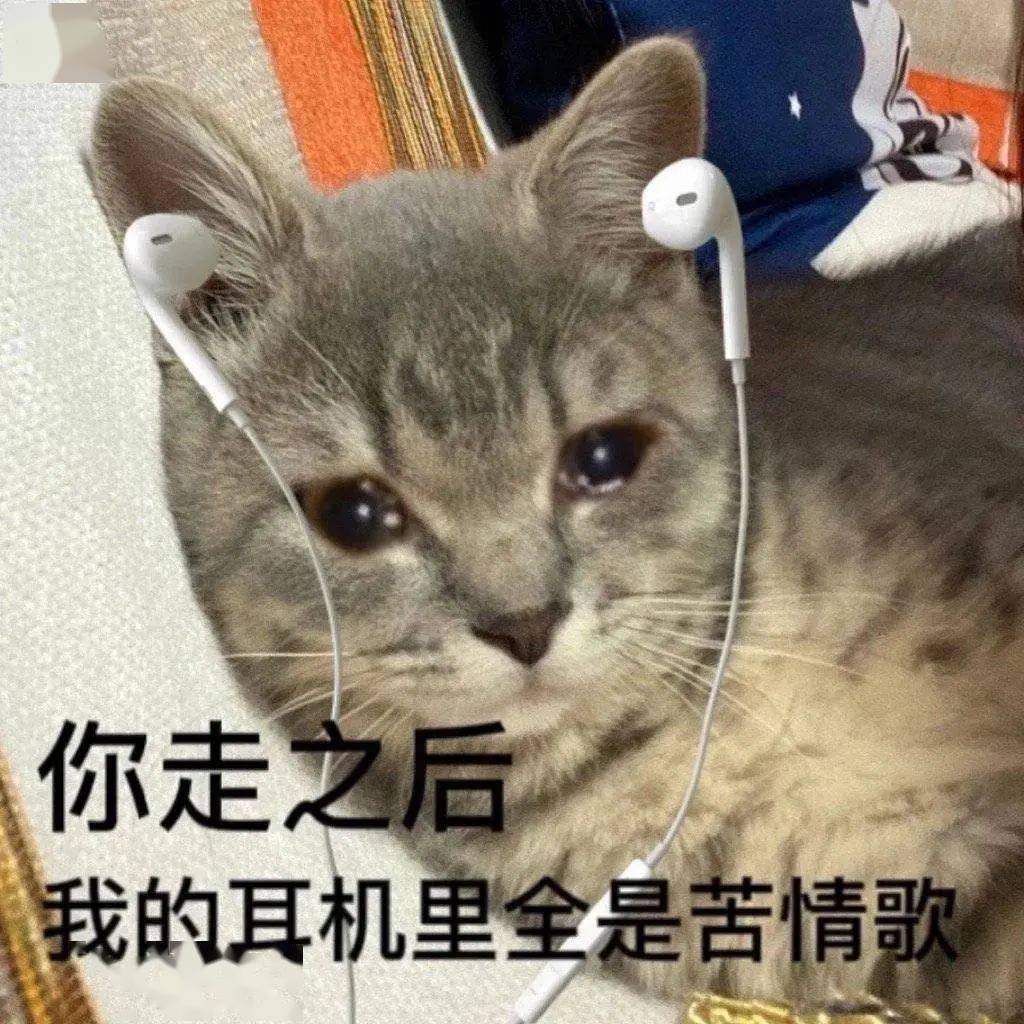 表情包丨新鲜的表情包来啦 快来存!_文案_月亮_人间