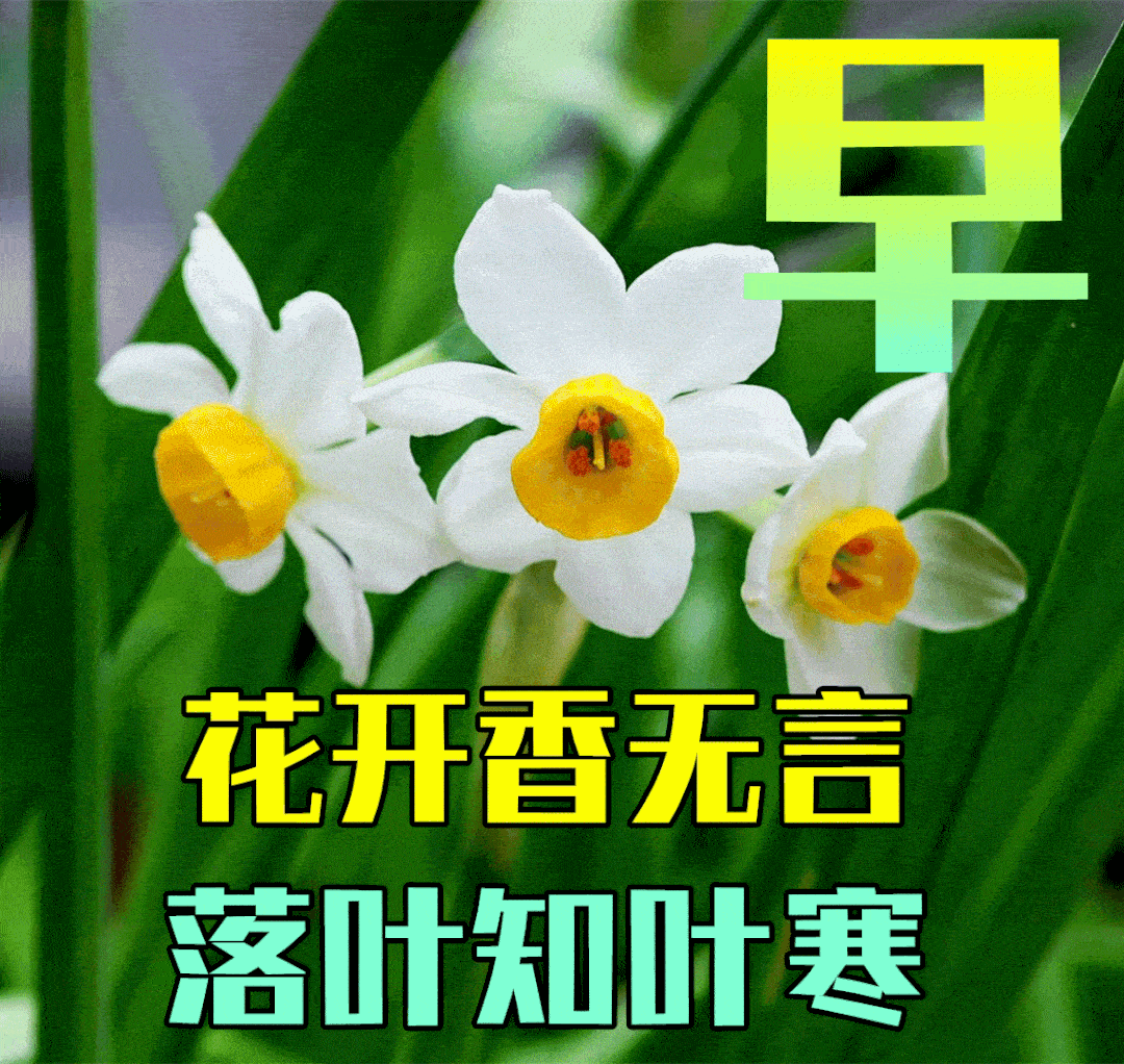 8月23日最新早上好祝福动态表情图片大全,早上好问候语句子!