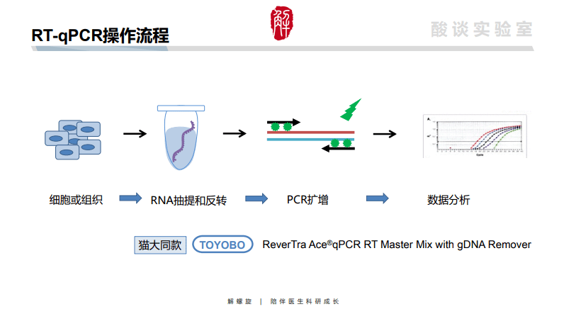 由於在pcr擴增的指數時期,模板的ct 值和該模板的起始拷貝數存在線性