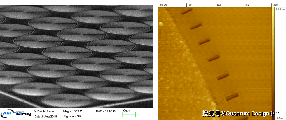 and their co-adsorption behaviors by different size fractions