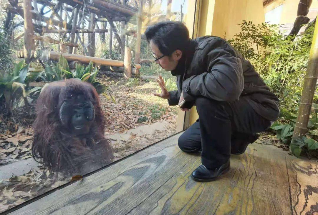 网红动物园园长,被判了_奥列格_游客_老虎