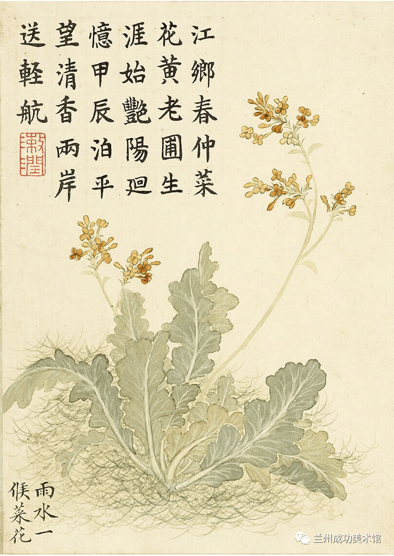 诗画阅微】董诰的《二十四番花信风图》_明一候_书画_宣传