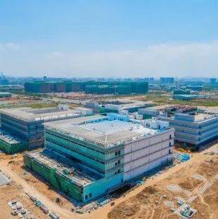 为稳增长撑起“脊梁”,东莞做了这件事_审批_项目_建设