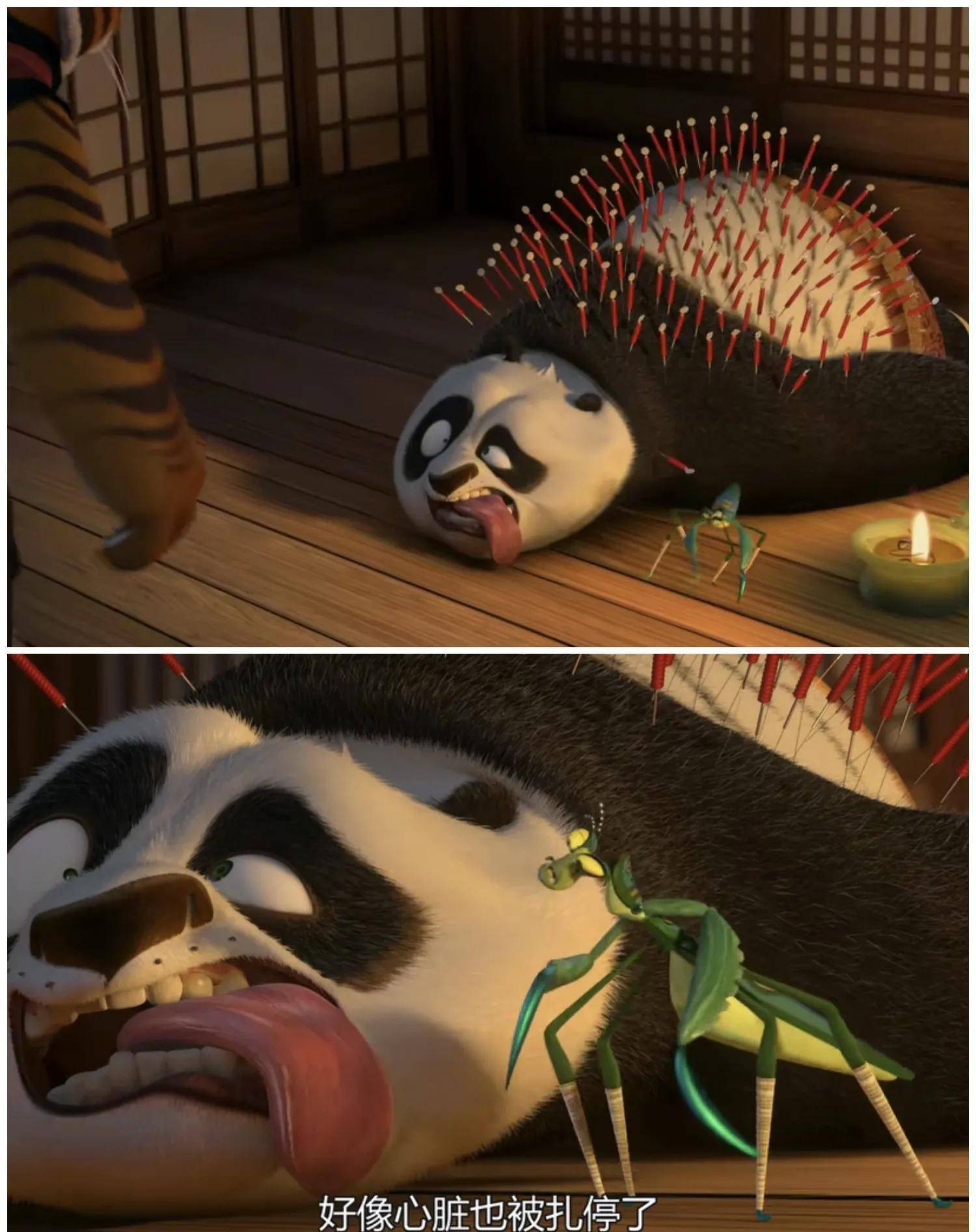 一部比中国人还要了解中国的外国电影_功夫熊猫_影片_雪豹