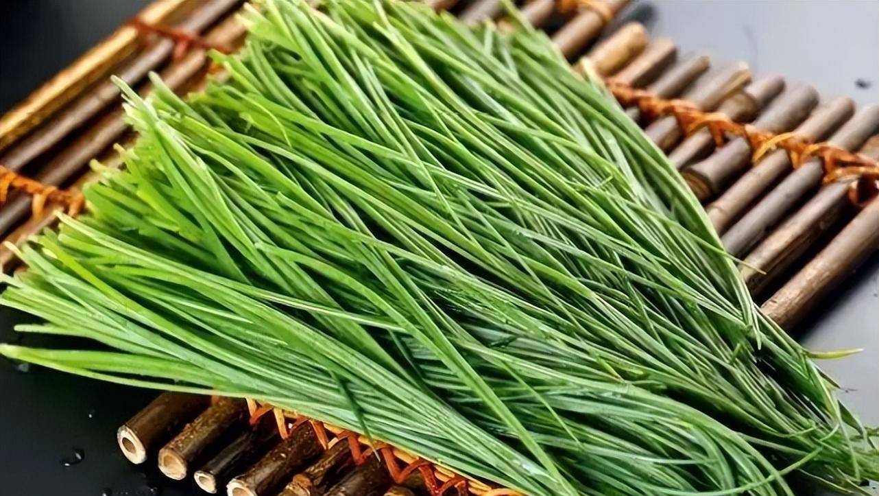 它叫沙葱,戈壁才有的野菜,长得像葱味道独特,多数南方人没吃过_韭菜