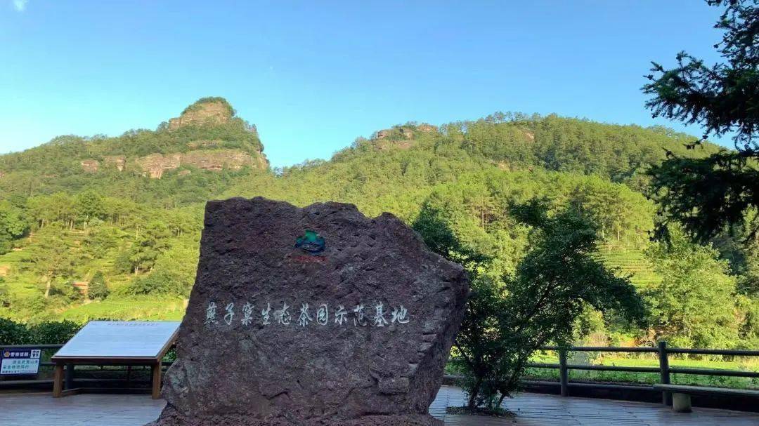 探尋武夷山境,品味草本毛鋪 | 毛鋪·君和薈武夷山之旅_山水_水色