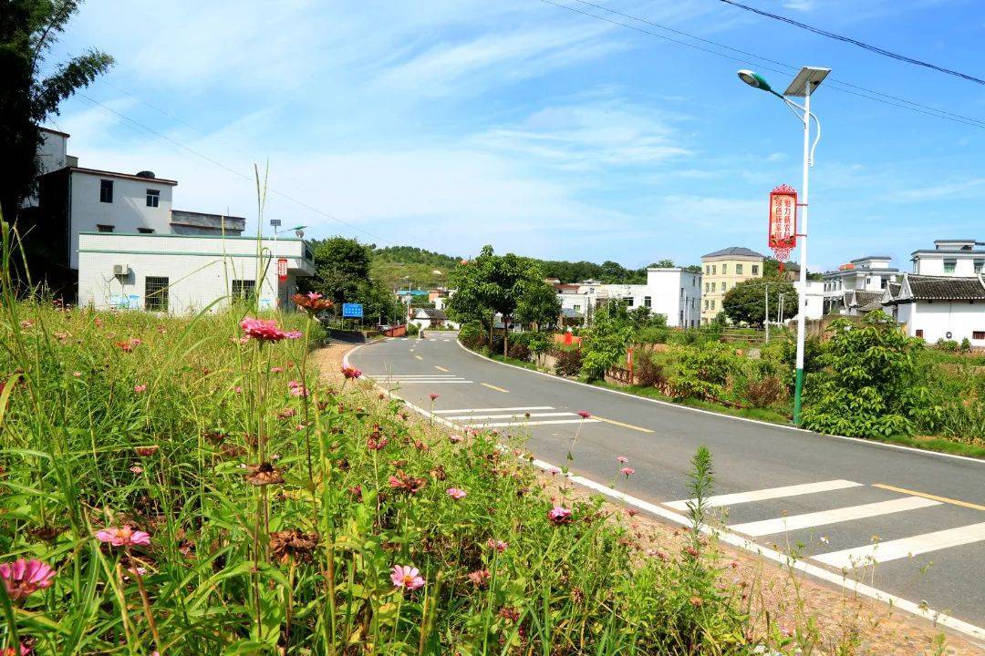 【2022年"四好农村路"我家门前那条路—十大最美农村路】龙川县丰稔