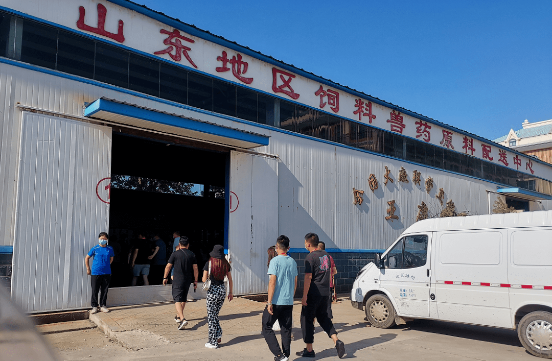 生猪养殖上市公司排名：谁在领跑？