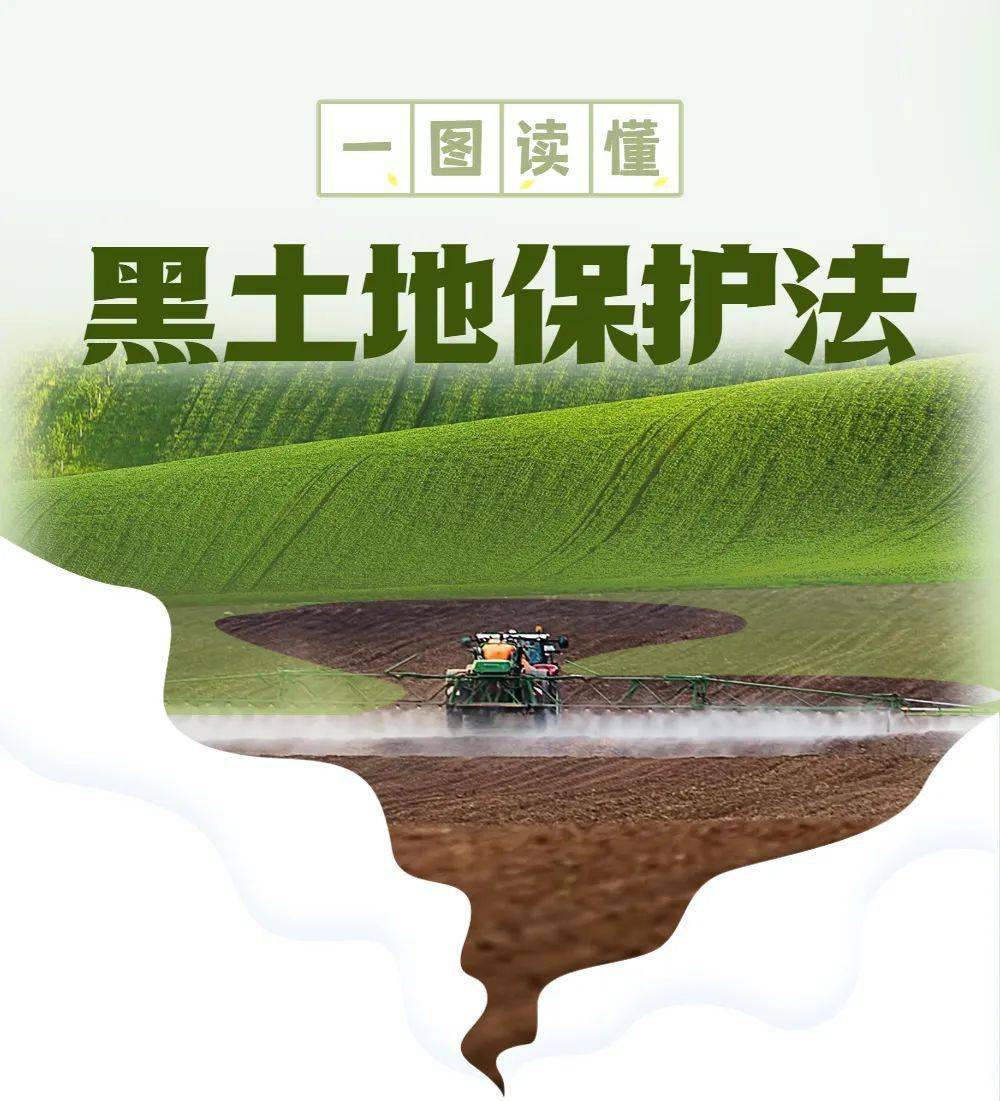 一图读懂 | 《黑土地保护法》_保障_来源_法治