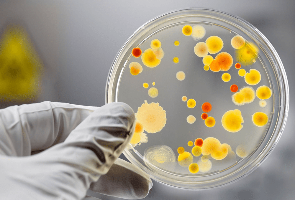 我们该如何应对?_病毒_细菌_患者