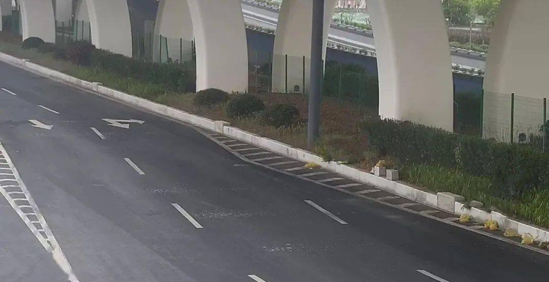 "鱼肚"状导流线