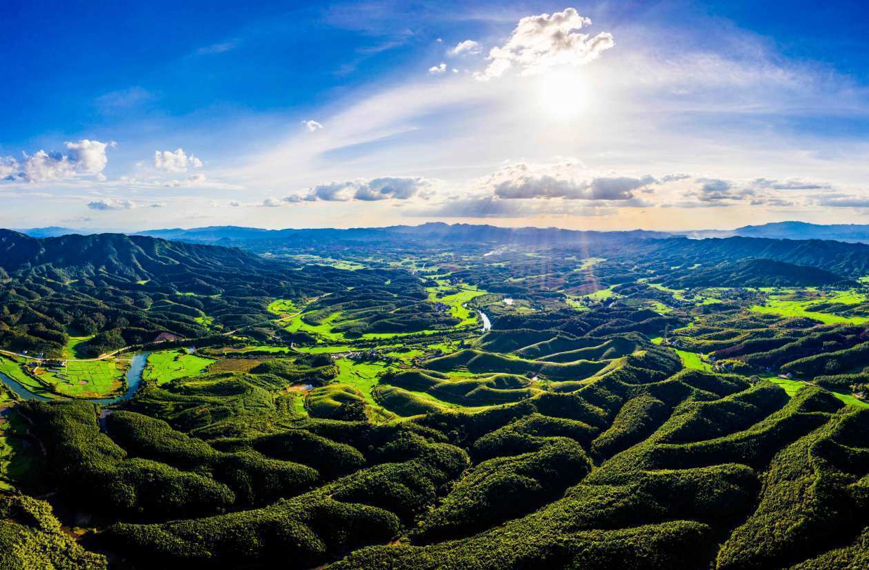 江西吉水:山峦叠嶂 林海茫茫_吉水_叠嶂_林海