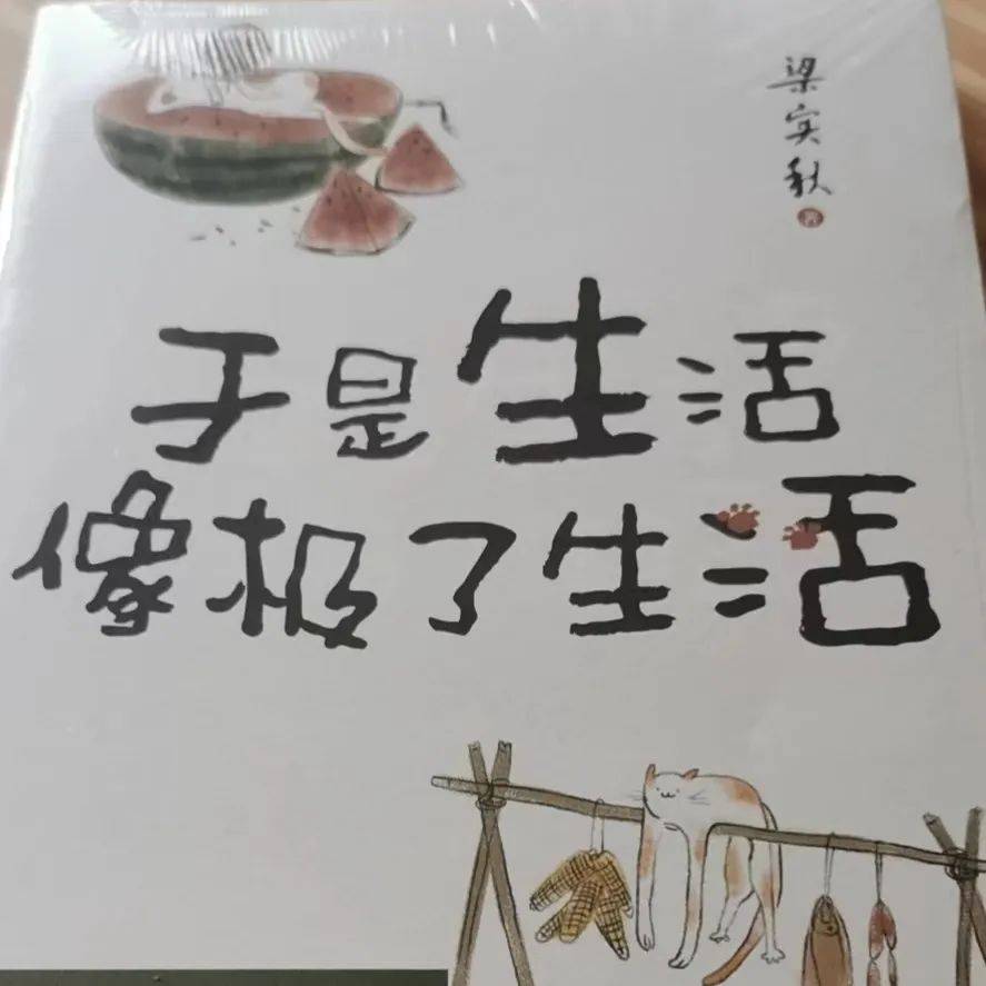 《于是生活像极了生活》:生活的本质不过是自在随心_秋先生_冰心_中老年人