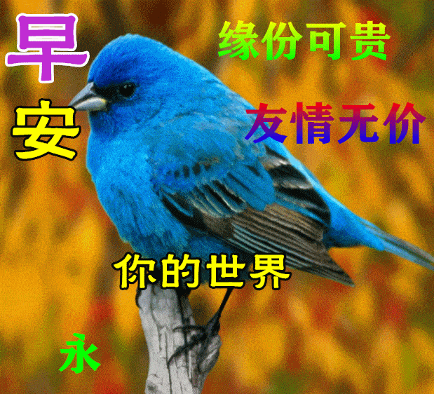 8月28日最新早上好祝福动态表情图片大全,秋天早安问候语句子!