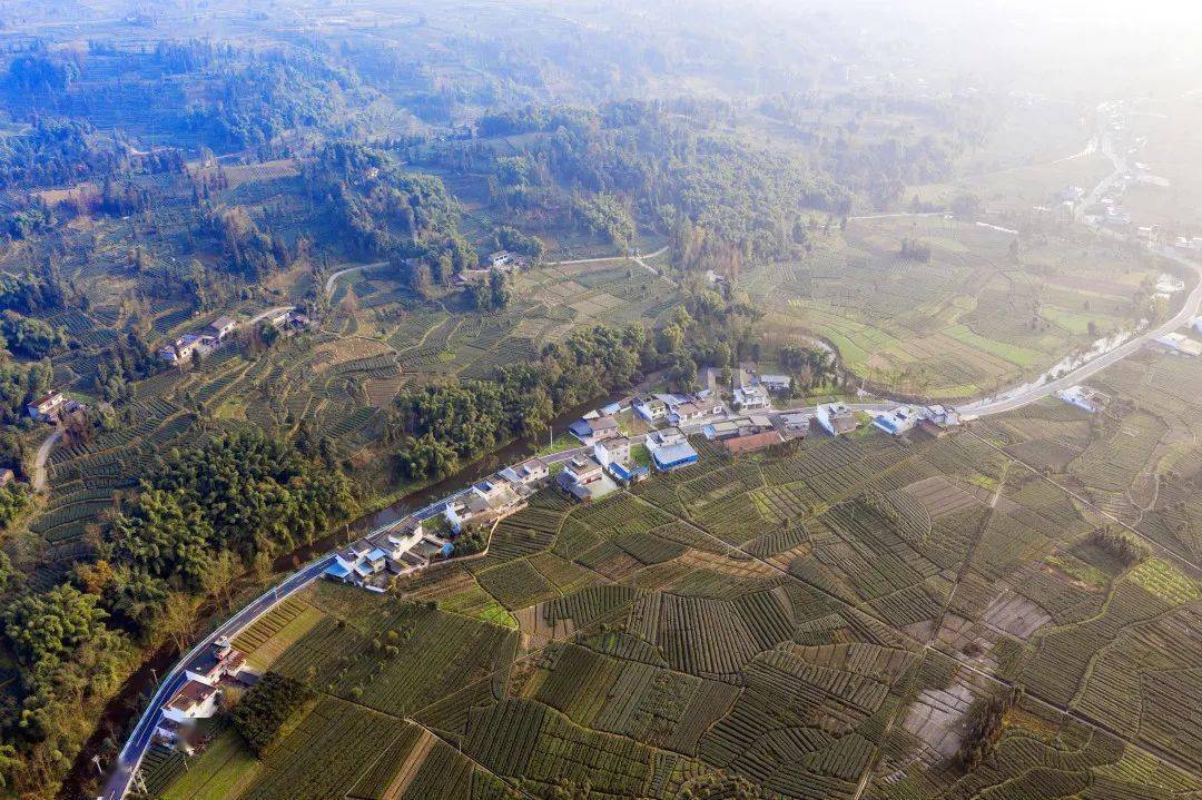 82四川省雅安市红岩村—前进镇公路82