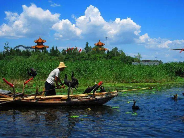 白洋淀是中國海河平原上最大的湖泊,位於河北省中部.