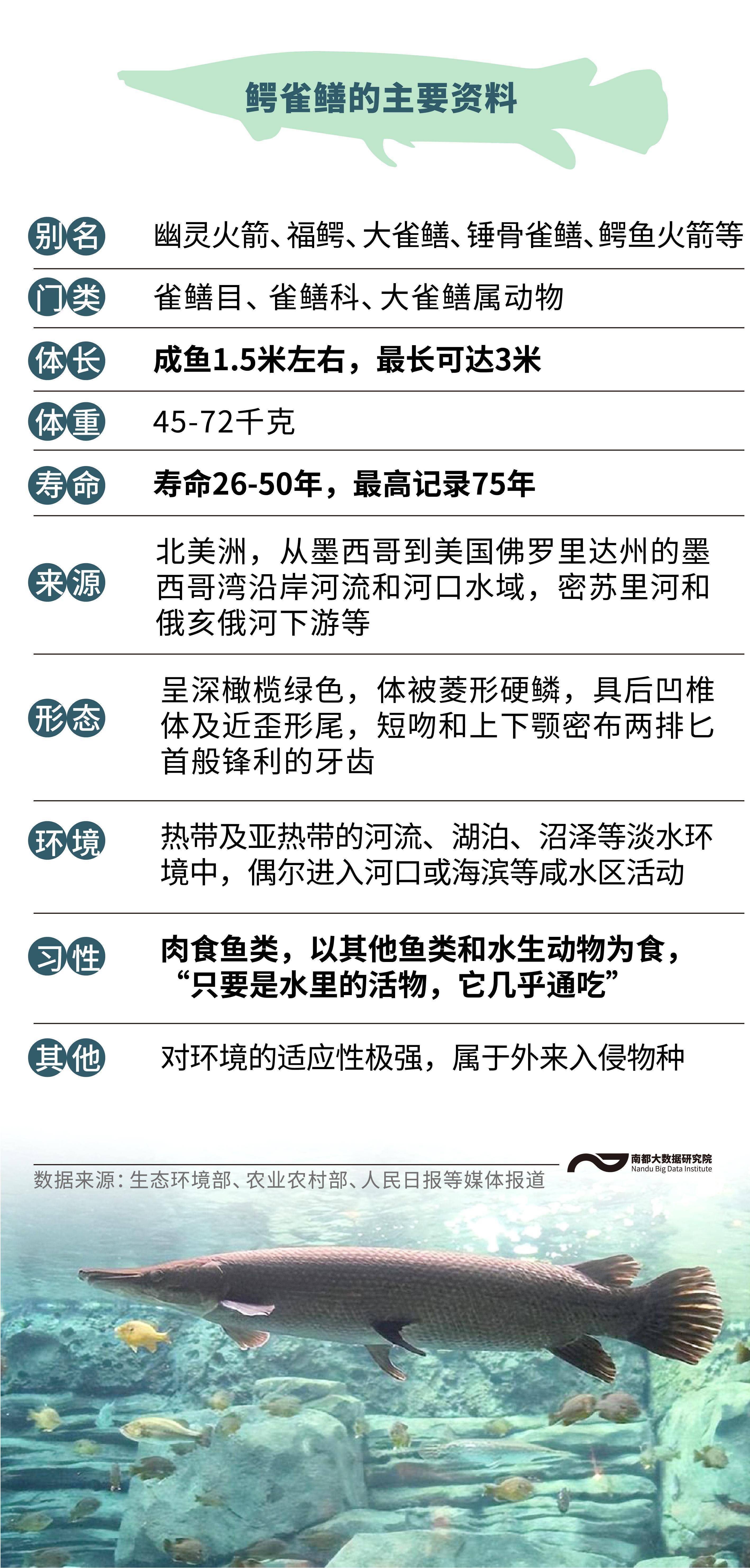 鳄雀鳝是什么，能吃吗？除了它，我国还有哪些外来有害物种？_搜狐网