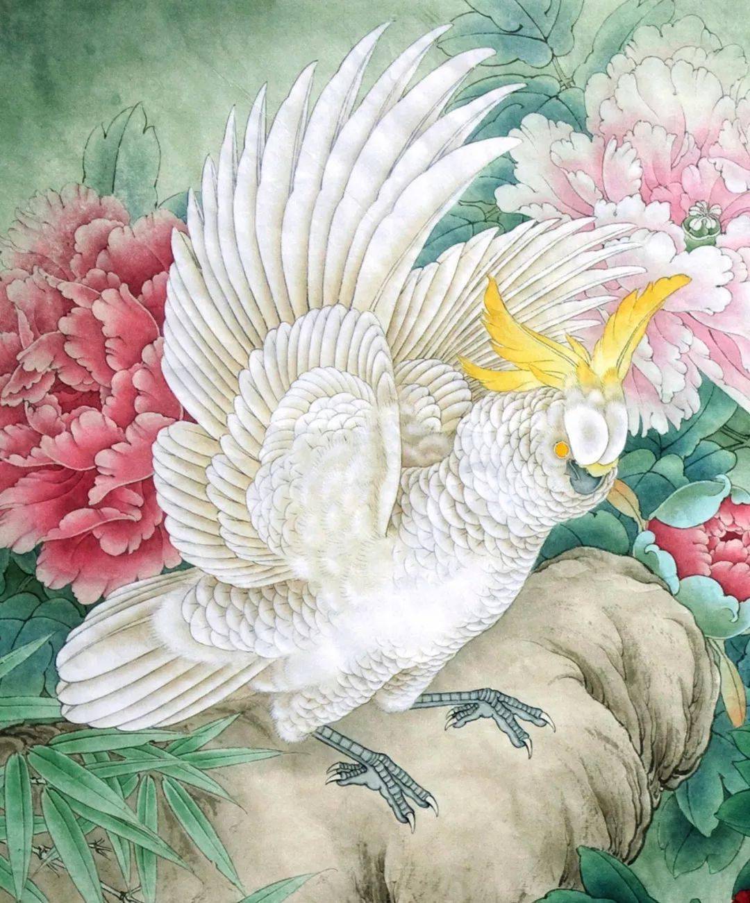 李晓明工笔《葵花鹦鹉》设色技法(含详细文字解析)!_冠羽便_白粉_部分