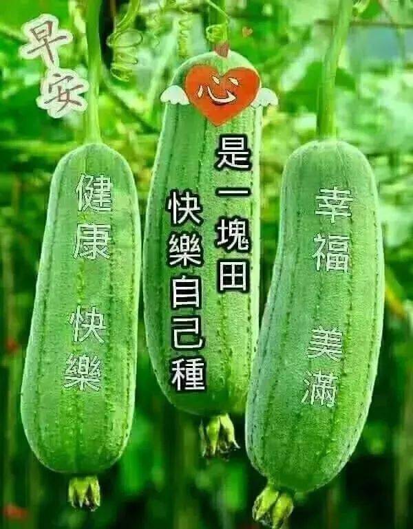 早上好朋友非常漂亮的早安祝福语 早上好问候语动态表情图片带字带