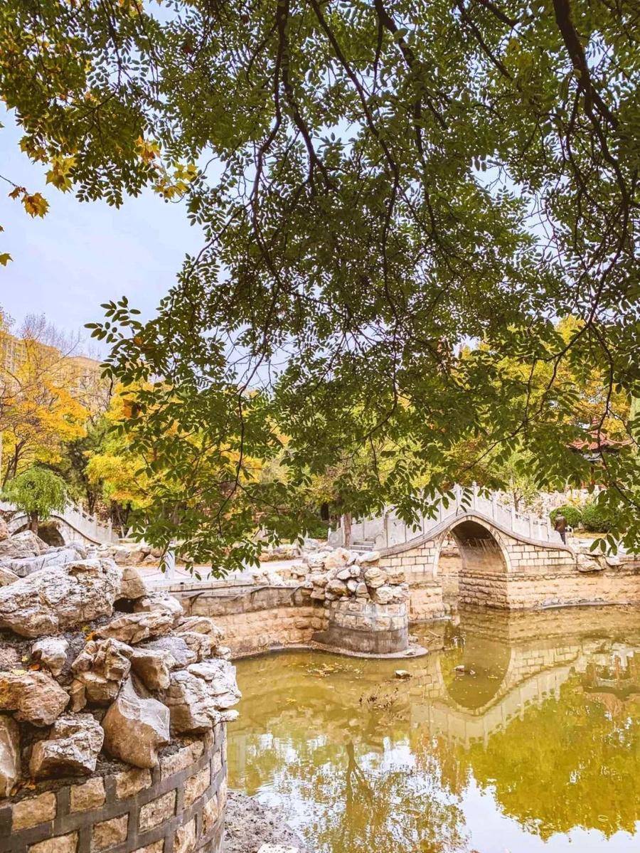 假期餘額已不足,聊城這些秋日公園提醒你速來打卡_溼地_黃河_山東省