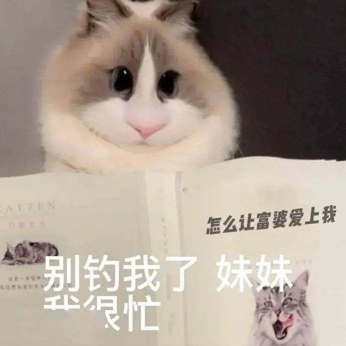 抖音热门表情包 i 我承认你的小花招成功勾引到我了_熊猫头_什么_世界