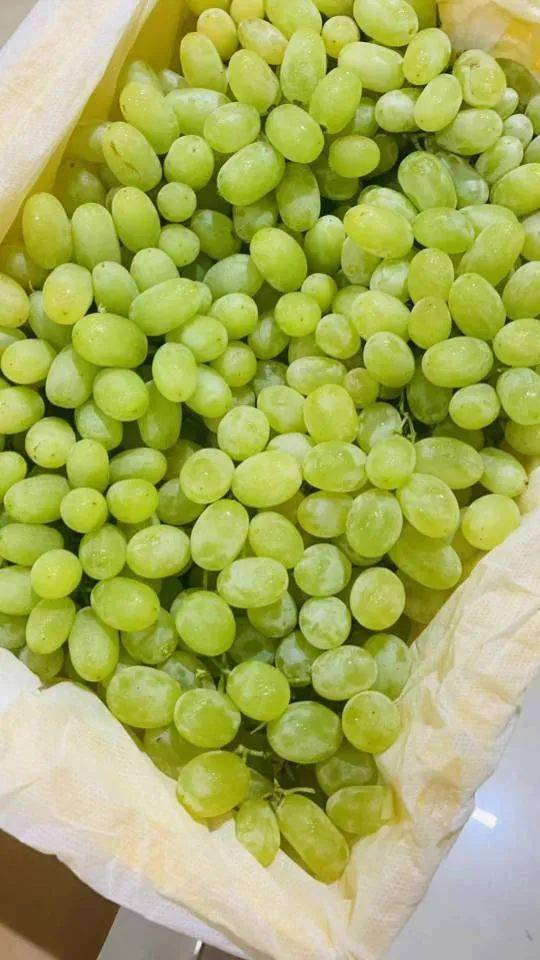 甜脆多汁新疆小蜜蜂无籽青提(约5斤)仅需29.9元