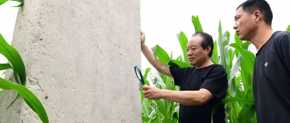河北邢台发现明代正统年间圣旨碑_南和_碑文_文保