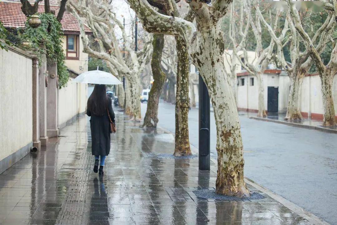 夜凉梦醒愁几许,又闻窗外三更雨