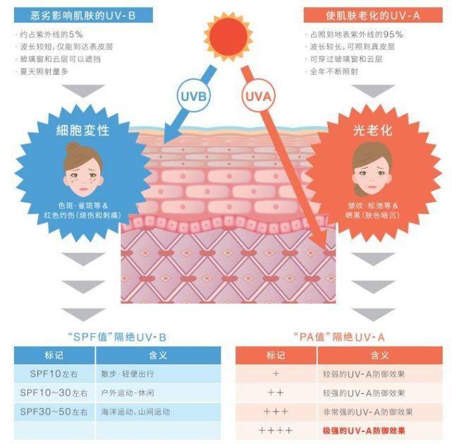 男生油敏皮怎么护肤？男士油皮水乳+男士洗面奶敏感肌怎么选？_皮肤_珂润_舒敏