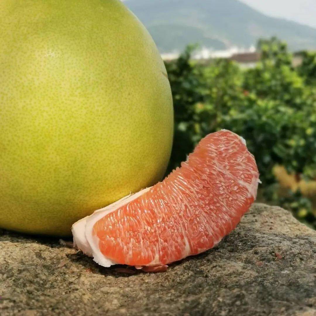 来自四季如春的海南,自然成熟的红心蜜柚,一个拿到手中沉甸甸,是肉厚