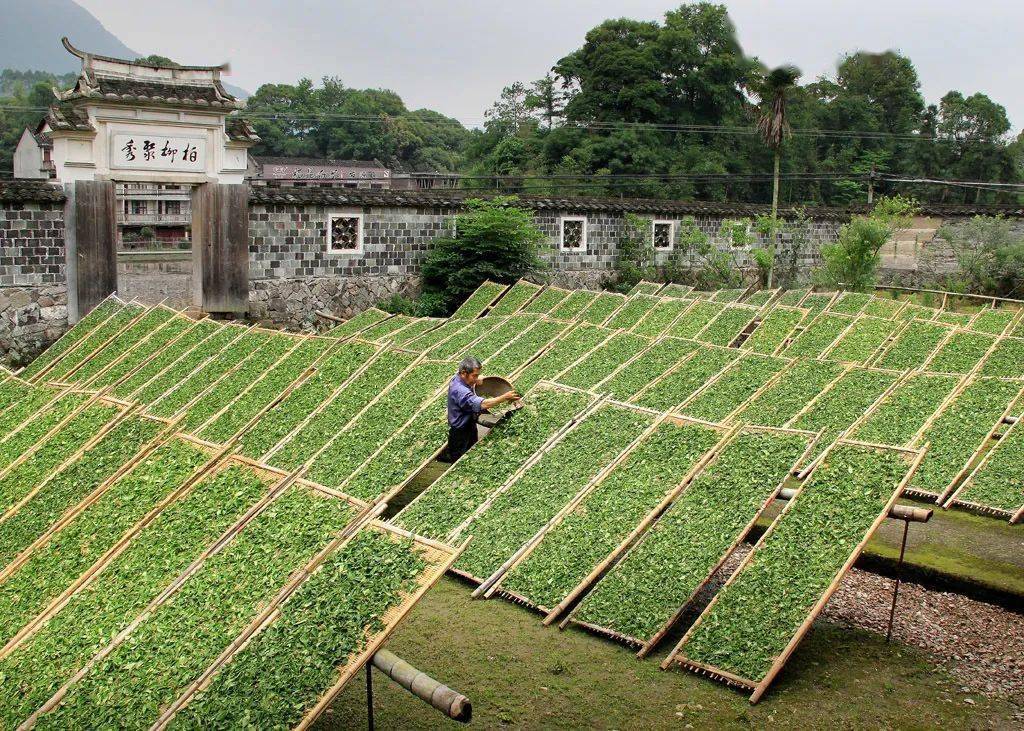 这里没有确定的水道,每天从山上留下的淡水的水道每次潮汐过后就变出