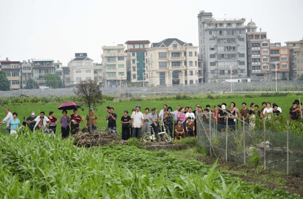 溫州228國道樂成至黃華段通車,樂清到溫州機場行程縮短30公里!