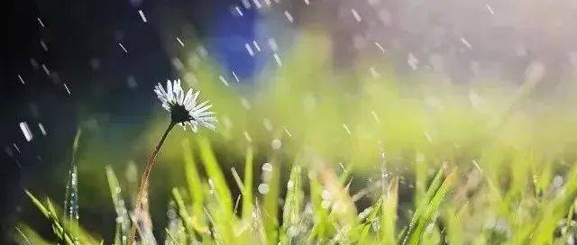 空山新雨后,天气晚来秋!是时候在汉中寻找诗情画意了!_摄影_陈雨樵_文化
