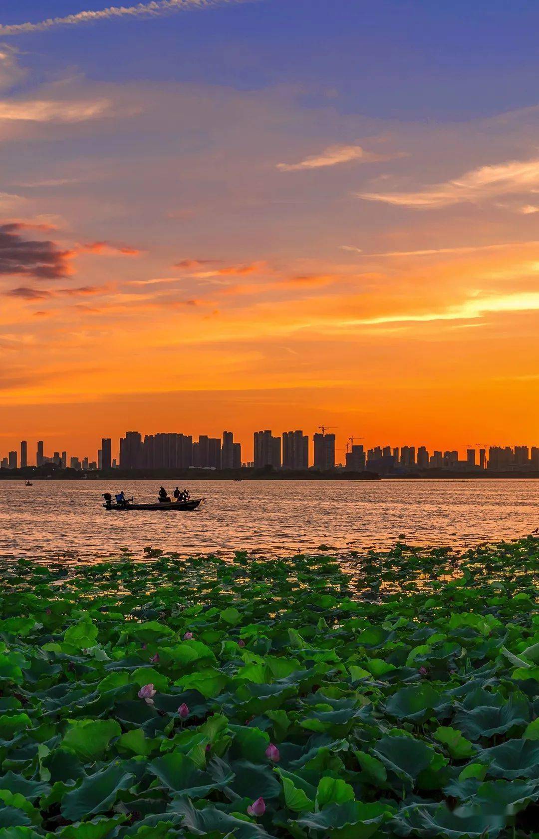 江夏融媒攝影隊 @籍鵬飛 攝99湯遜湖壹號溼地公園都是奮鬥的印記