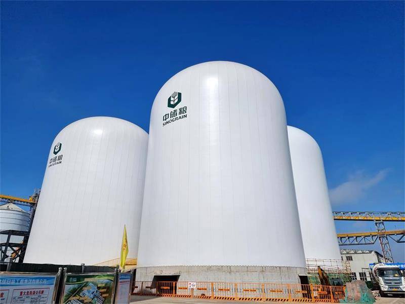 四川成都储备库气膜穹顶储粮仓_结构_技术_兄弟科技