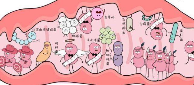 女性须知 丨 3道天然屏障守护私处健康,其中1道易被"误伤"!