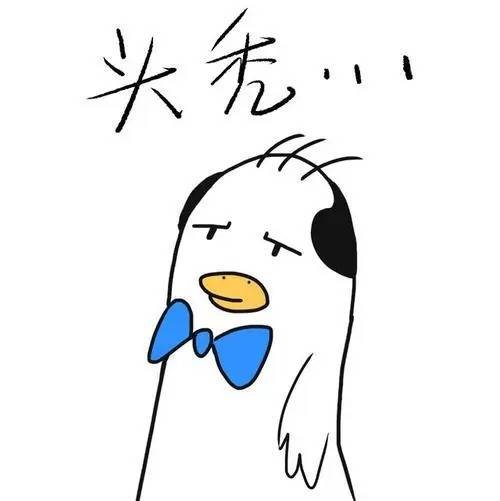 头发_洗头_蔓蒂