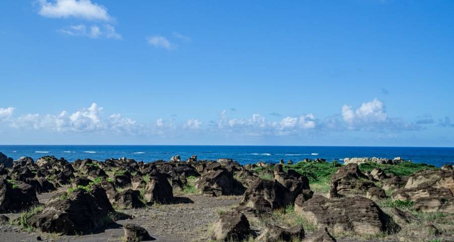 家电以旧换新广东财政最高补贴70%,主流厂商将是赢家-家电圈官网