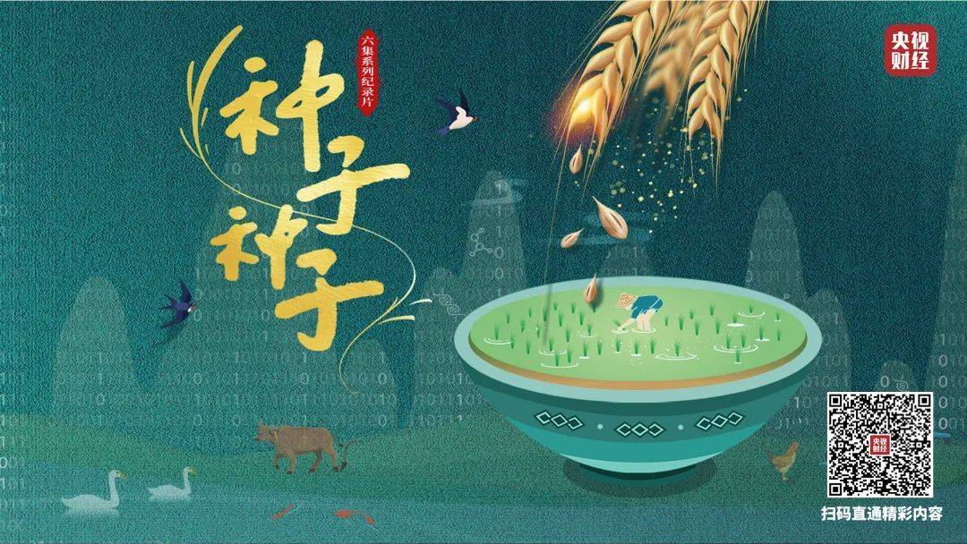 这份高能"课程表",请查收!_种子_纪录片_中国人