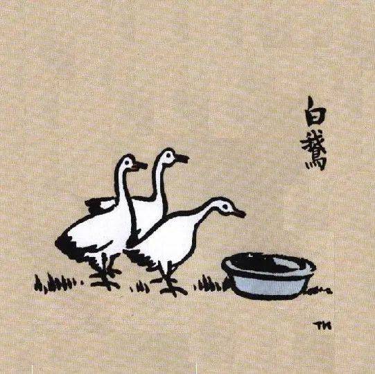 丰子恺:白鹅_叫声_傲慢_因为