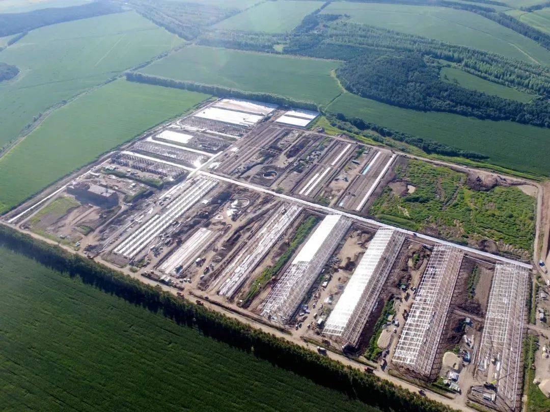 八五一一农场寒疆牧业万头牧场项目建设工程总体进度完成75%_发展