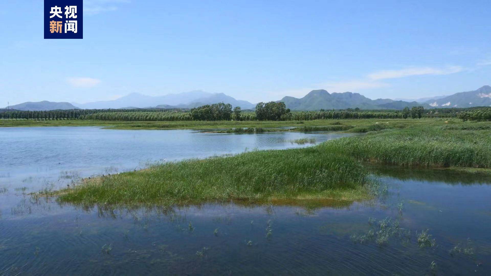 房山區青龍湖鎮,規劃用地面積超過133公頃,擬建設成為集大熊貓繁育