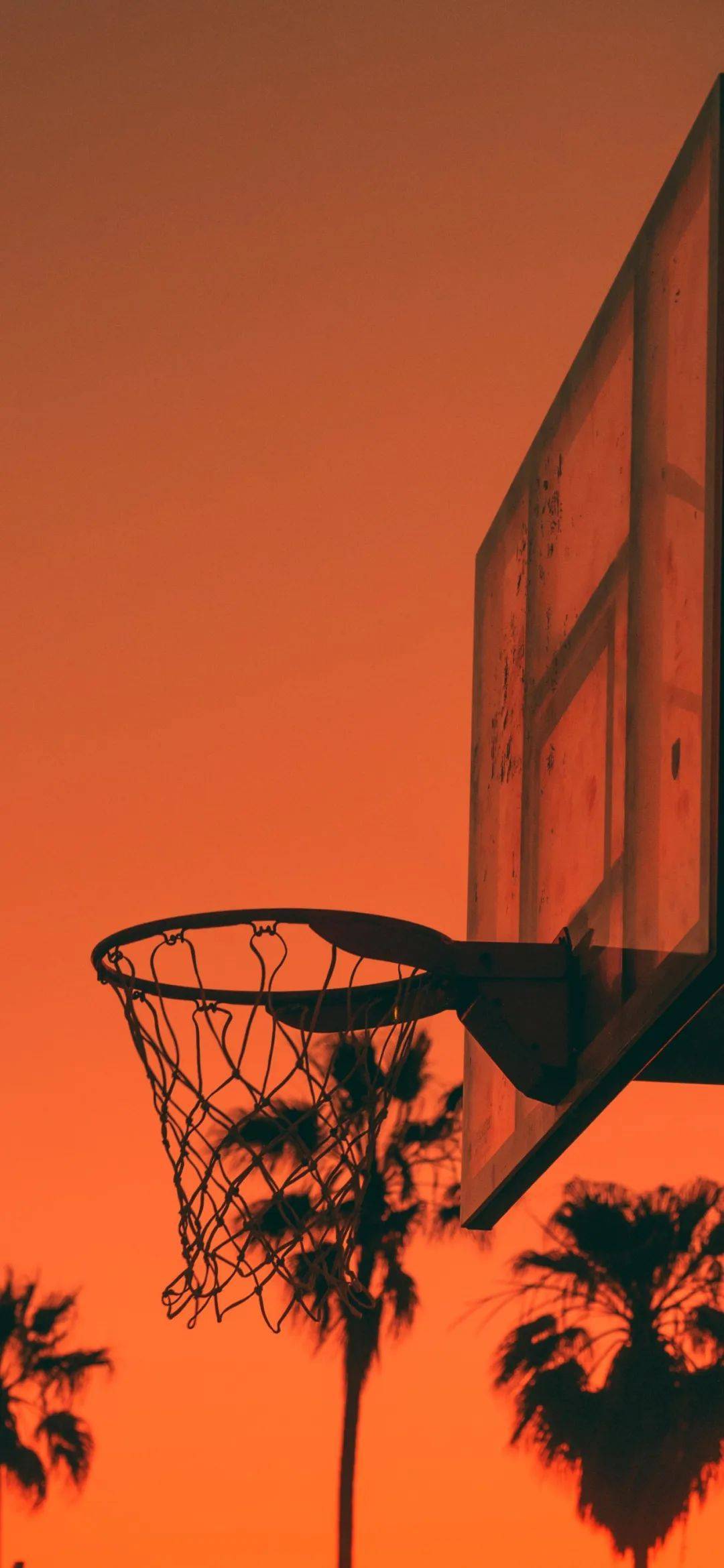 抖音热门壁纸推荐! | 你是vip?