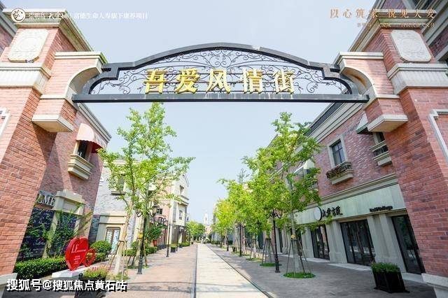 崇明岛大爱城-简介_搜狐网