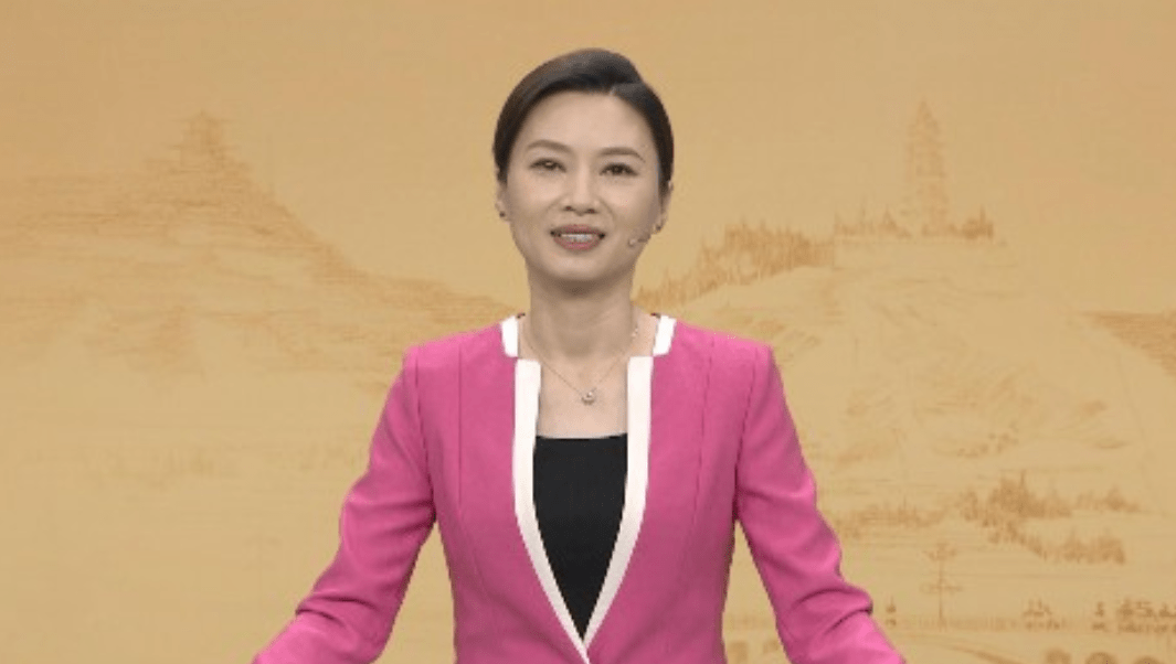 靠《百家讲坛》爆火的美女教授杨雨,到底是一个什么样的人?