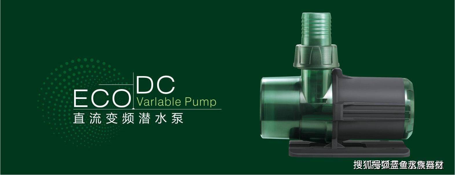 说说如何消除鱼缸水泵噪音_搜狐网