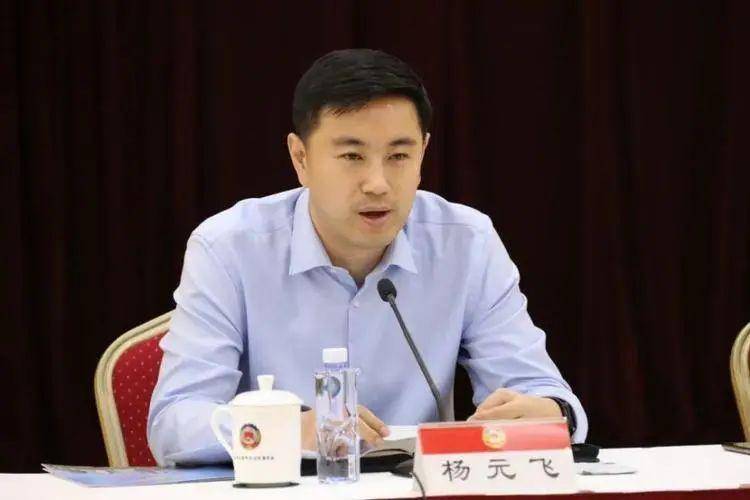 "80后"博士杨元飞,任上海崇明区委副书记_工作领导小组_集体_普陀区