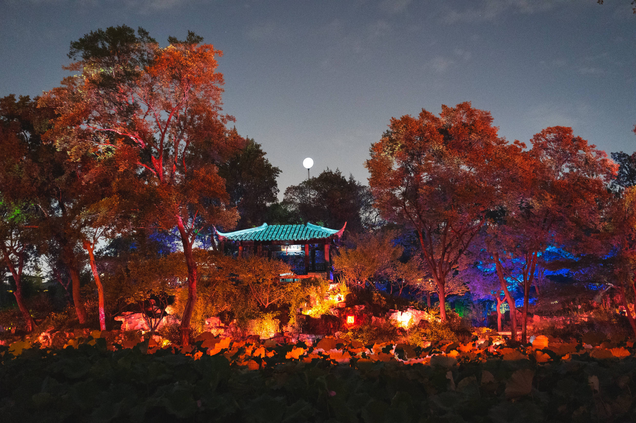 此园林非彼园林,沉浸式夜游苏州拙政园,恍若一场时空穿越之旅_光影