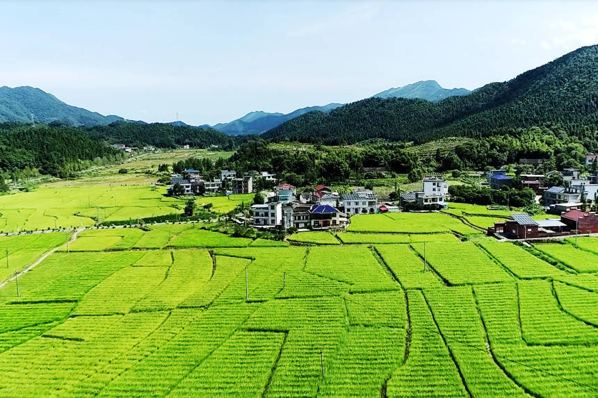 萍乡湘东区湘东镇图片