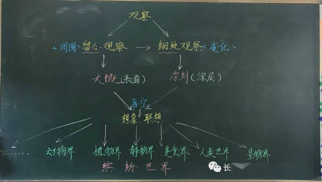 習作五:我眼中的繽紛世界課文16《金色的草地》課文15《搭船的鳥》第